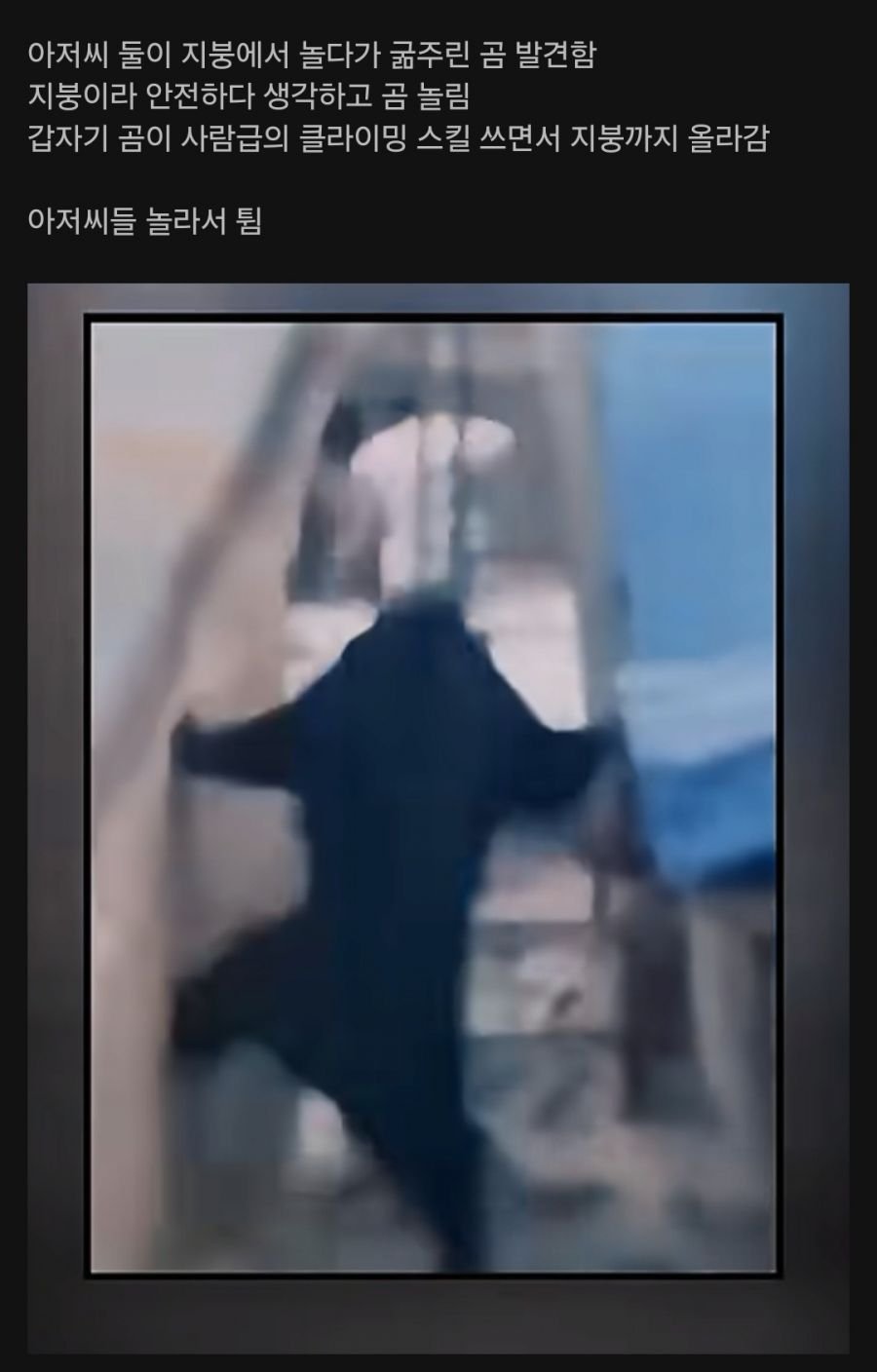 2aa904823965d0405f047ea49e74fbf1.jpeg