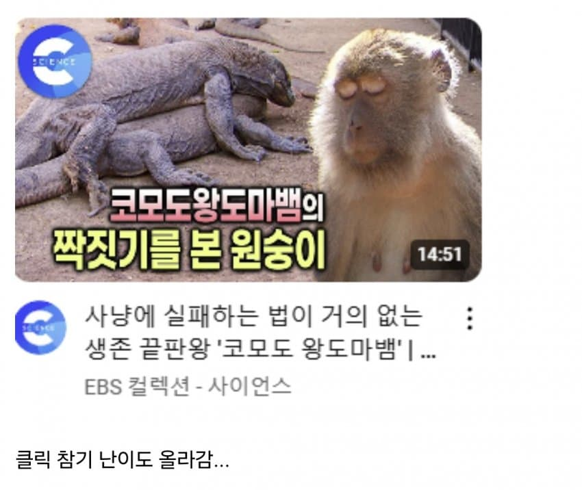 d1392896e21b4bc231d0b2d37d68e773.png