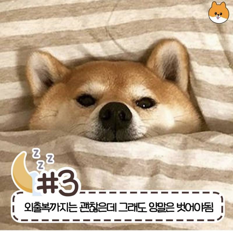 57f1eb233087e7861b6665e7dcc71fa8.jpg