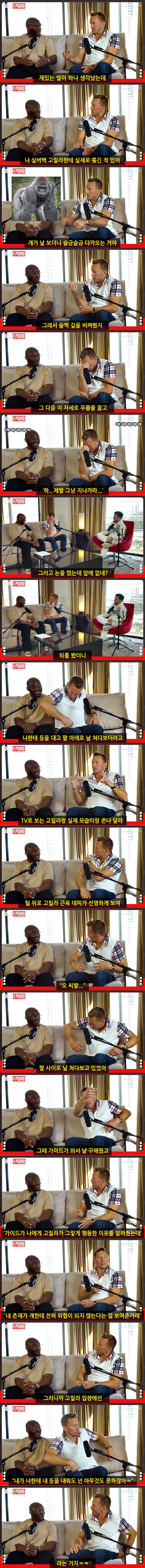 고릴라를 실제로 보고 개쫄았던 UFC 전 챔피언.jpg