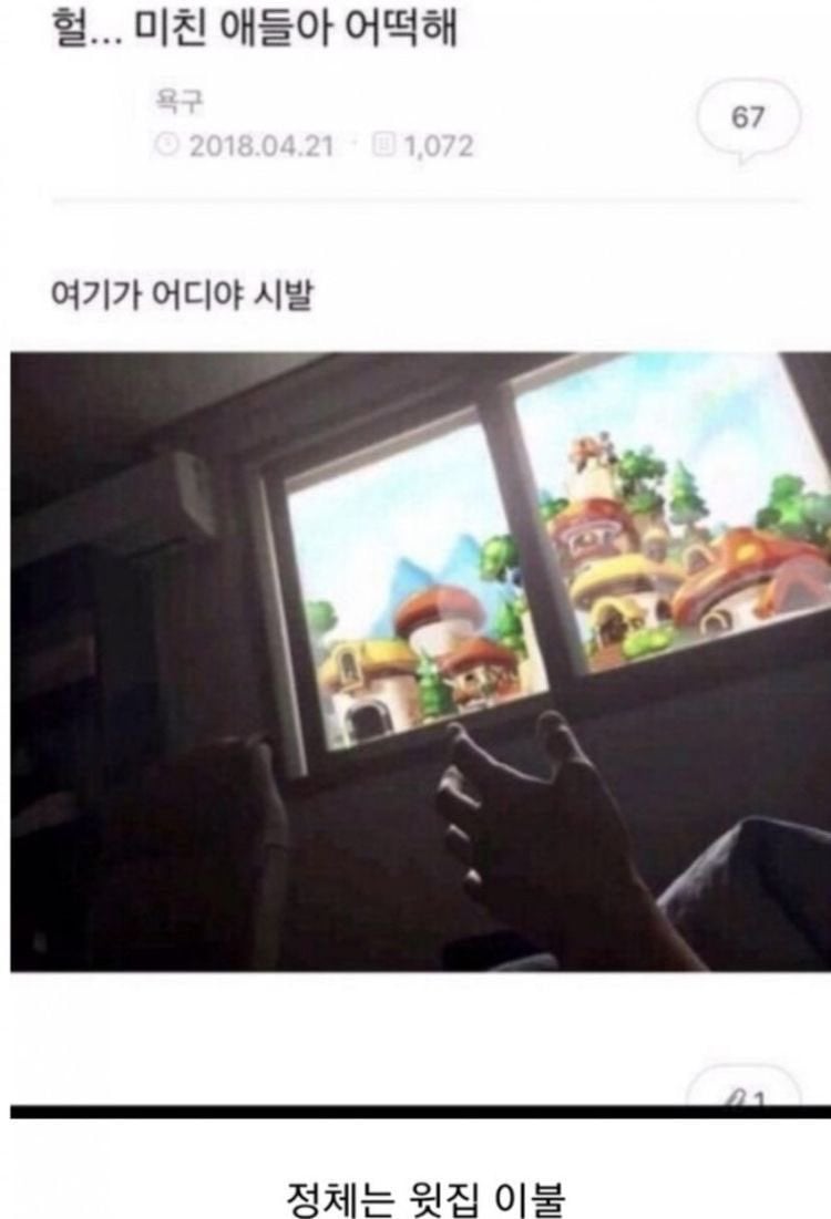IMG_8881.jpeg