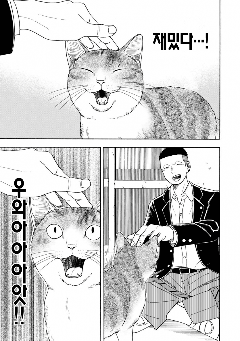 32.png