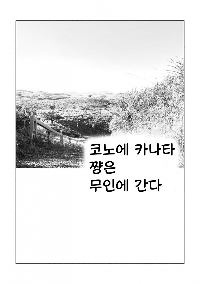 완3.jpg