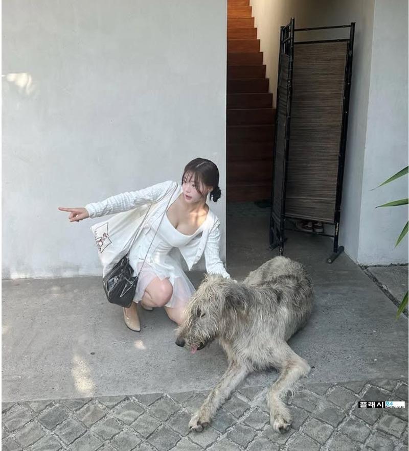 첨부 이미지